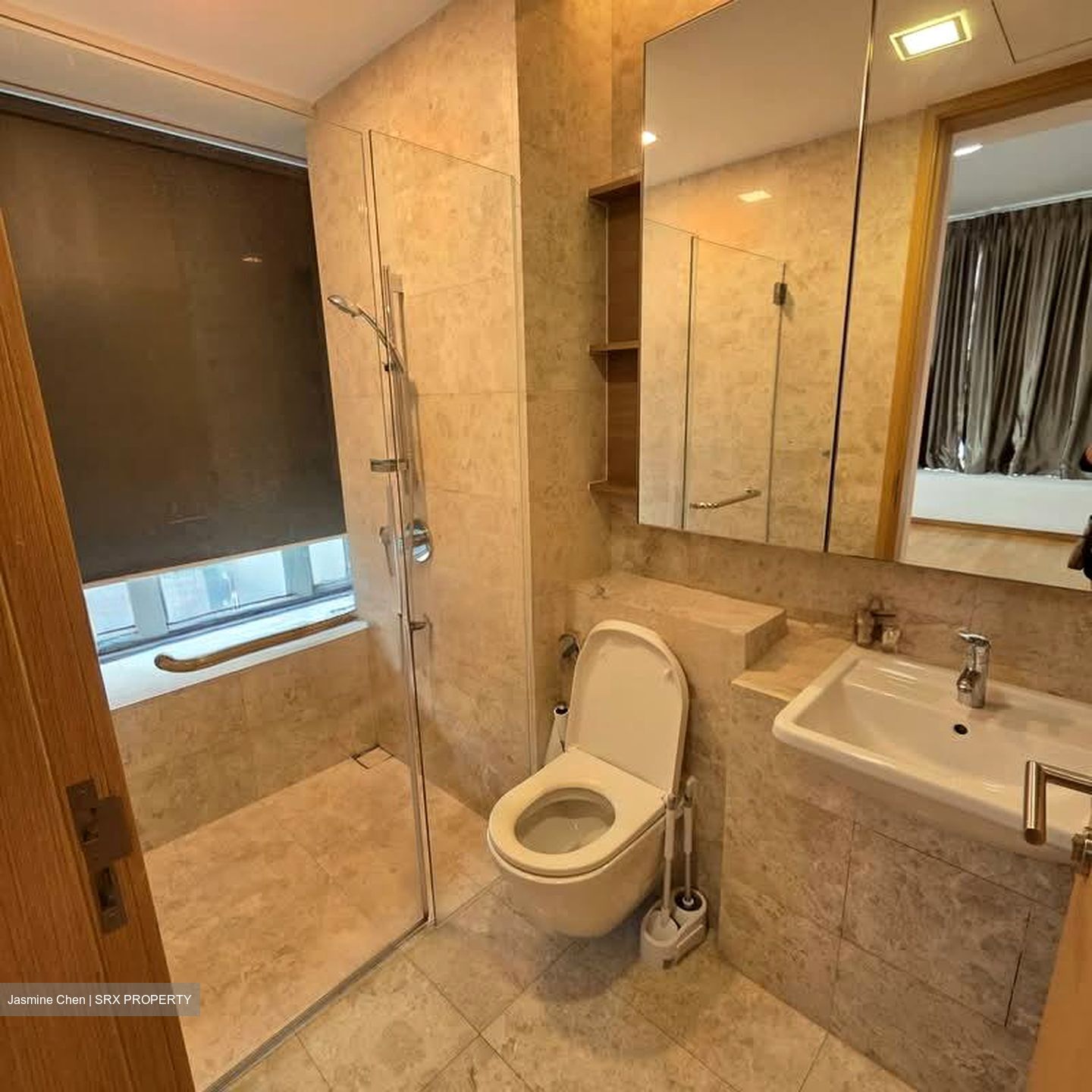 Soleil @ Sinaran (D11), Condominium #535526551
